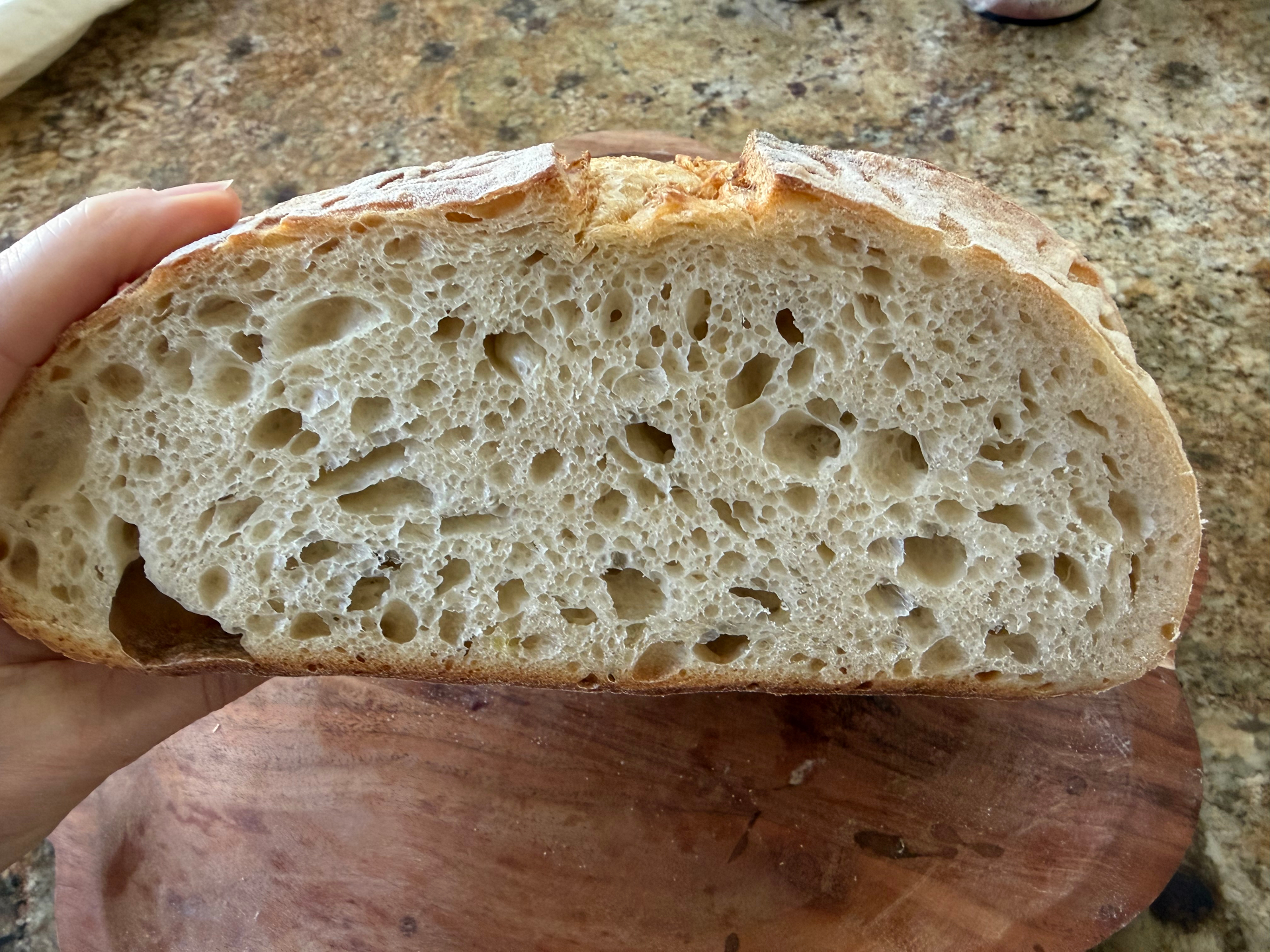 Open crumb of a freshly cut sourdough loaf