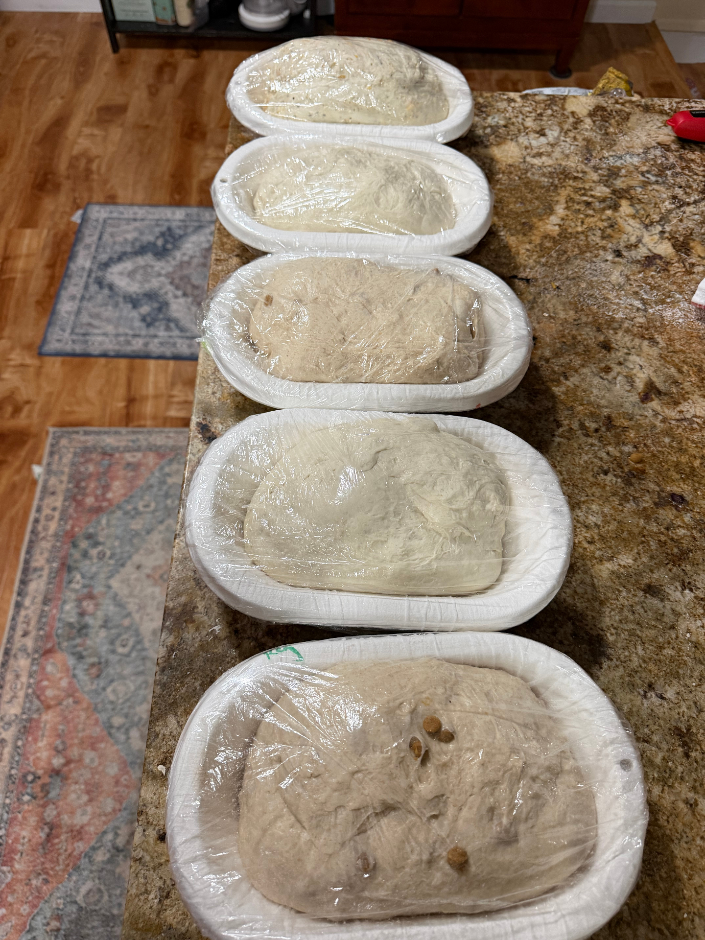 A lineup of shaped loaves resting in bannetons